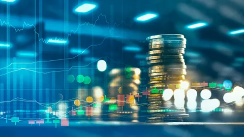 Leia mais sobre o artigo Como Organizar Suas Finanças Pessoais do Zero